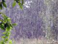 Погода 29 июня поиздевается над украинцами, солнце сменят дожди