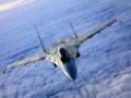 Пентагон подтвердил, что российский Су-34 нарушил границу Турции
