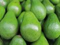 Интересные факты об авокадо