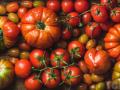 Як виростити помідори з тонкою шкіркою: поради досвідчених садівників