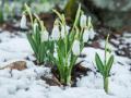 Лютий в Україні стає весняним місяцем: метеорологиня розповіла, якою буде зима
