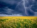 Серпень в Україні почнеться з 30-градусної спеки та гроз: де будуть опади