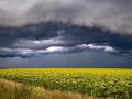 На 6 липня в Україні оголосили штормове попередження: негода охопить півкраїни