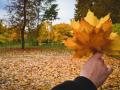 Коли в Україні почнеться справжня осінь: прогноз синоптика