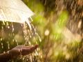 Які регіони накриють сильні дощі з грозами: прогноз погоди в Україні на 7 серпня