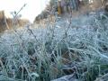 В Україні прогнозують перший сніг та заморозки