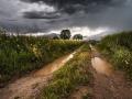 Прогноз погоди на 26 травня: Україну накриють дощі та грози