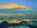 Вчені зробили «жахливе» відкриття на дні Червоного моря: що там виявили