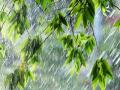 Дощі, місцями грози та не тільки: прогноз погоди в Україні на 23 травня