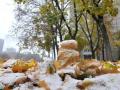 В Україну йде зима з першим снігом: що чекати від погоди на новому тижні