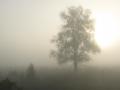 10 листопада в Україні без опадів, зранку можливі тумани