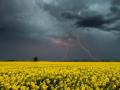 Прогноз погоди на 20 червня: які регіони України заполонять сильні дощі та грози