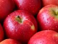 Що приготувати з яблук: швидкі та смачні рецепти на кожний день