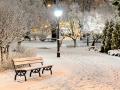 Синоптики дали прогноз погоди на зиму: коли прийдуть морози та випаде сніг