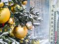 Погода на Новий рік в Україні буде аномальною: метеорологиня дала прогноз