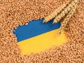 Як і куди Україна продає зерно: чому і які країни забороняють імпорт
