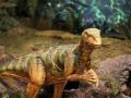 Знахідка кинула виклик вченим: у Чилі виявили рештки нового виду динозаврів