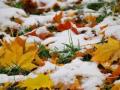 На Україну насувається велике похолодання, піде сніг: синоптикиня назвала дати