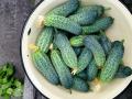 Здивуйте своїх домашніх: п'ять цікавих рецептів з огірками, які вразять своїм смаком