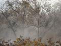 Мокрий сніг та заморозки: прогноз погоди в Україні на 9 жовтня