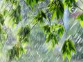 Українців попередили про дощі з грозами: які області заллє 9 червня