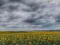 Прогноз погоди в Україні: яким буде перший день серпня