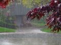 Дощі з грозами та град: синоптики розповіли, якою буде погода у вихідні
