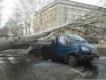 В Николаеве упавшее дерево раздавило микроавтобус