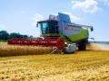 В Украине уже собрано 4,7 млн тонн зерна