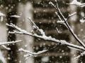Дощ, сніг, а місцями і хуртовина: прогноз погоди в Україні на четвер, 15 грудня