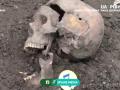 19 скелетов обнаружили в воинской части в Ровенской области
