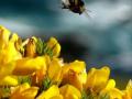 Гороскоп на 15 серпня для всіх знаків зодіаку: день, коли агресія може зіпсувати нам життя