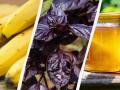Це може лише зашкодити: 11 продуктів, які не варто зберігати в холодильнику