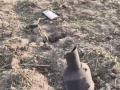 Приліт "Бандеролі" по Молдові — не випадковість: Путін запускає операцію "Нульова фаза" проти союзників України — ISW