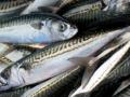 Для міцних кісток і здорових м’язів: 7 продуктів, у яких найбільше магнію