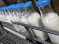 Молочні продукти можуть здорожчати на 25% до кінця року: що злетить у ціні найбільше
