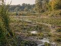 Води бракує, русла заростають: в УкрГМЦ пояснили ситуацію з річками на початку осені