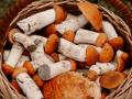 Топ продуктів, які ніколи не можна їсти сирими — запам’ятайте їх