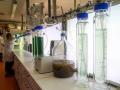 Росія сховала біолабораторії на острові, де таємно випробовують віруси, - ГУР