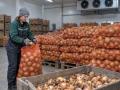 Ціни на цибулю в Україні знижуються у жовтні-2026: скільки коштує кілограм