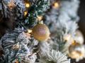 Коли прибирати новорічну ялинку, щоб рік був щасливим і вдалим: астрологи назвали сприятливі дати