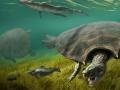 Панцир більший за людину: що відомо про найбільшу прісноводну черепаху в історії