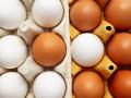 Які яйця краще брати: білі чи коричневі - що корисніше для здоров'я