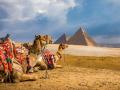 Почему стоит провести отпуск в Египте?
