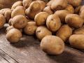 В Україні оптова ціна на картоплю за рік зросла у 2,2 раза