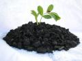 Ускоренное компостирование: как и для чего применять биопрепараты
