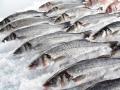 В Україні подорожчала морожена риба