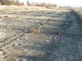 В Луганске украли взлетную полосу аэродрома