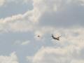 В результате атаки террористов погибло трое членов экипажа самолета Ан-26