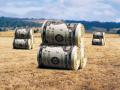 Капітальні інвестиції у сільське господарство збільшилися на 10% – Арбузов